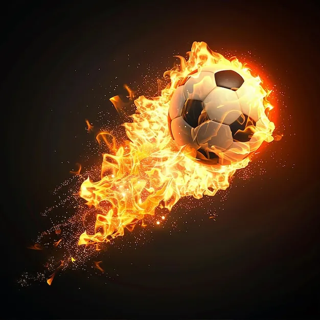 华体会体育APP引导横图